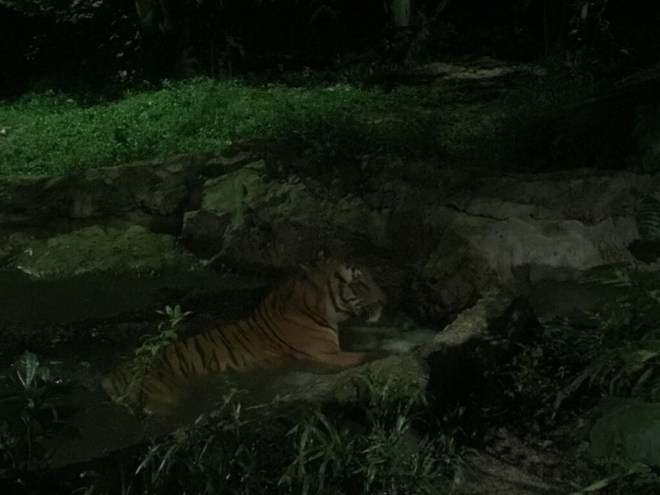 087b9652-f483-4d4d-8a70-9161129f3449