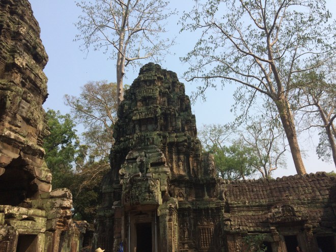 20180313_024725058_iOS