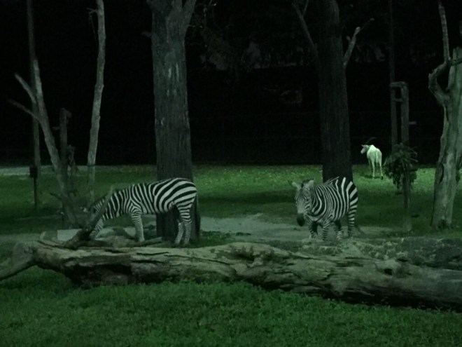 8a8113cf-6046-43bc-bcae-80634f758989